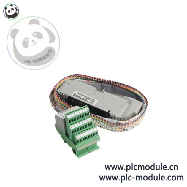 FOXBORO AD207AV PLC Module for Industrial Automation Control Systems