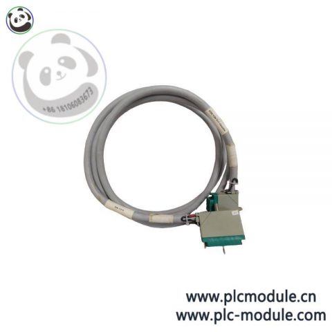 Triconex 4000093-310 - Extended Product Type PLC