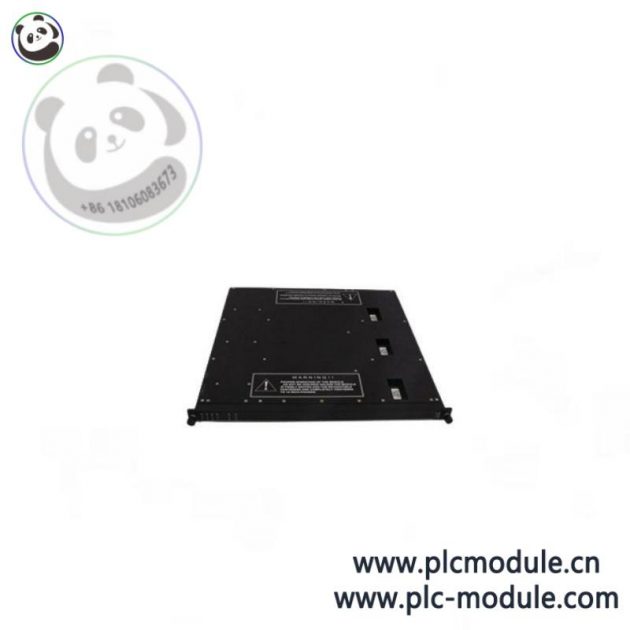 TRICONEX EPI3382 7400221 Industrial Control Module